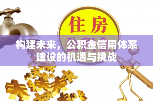 深坑构建未来，公积金信用体系建设的机遇与挑战