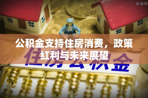 深坑公积金支持住房消费，政策红利与未来展望